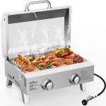 2 burner gass grill reviews